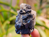 Natural Smokey Quartz Crystal Specimens x 14 From Erongo, Namibia