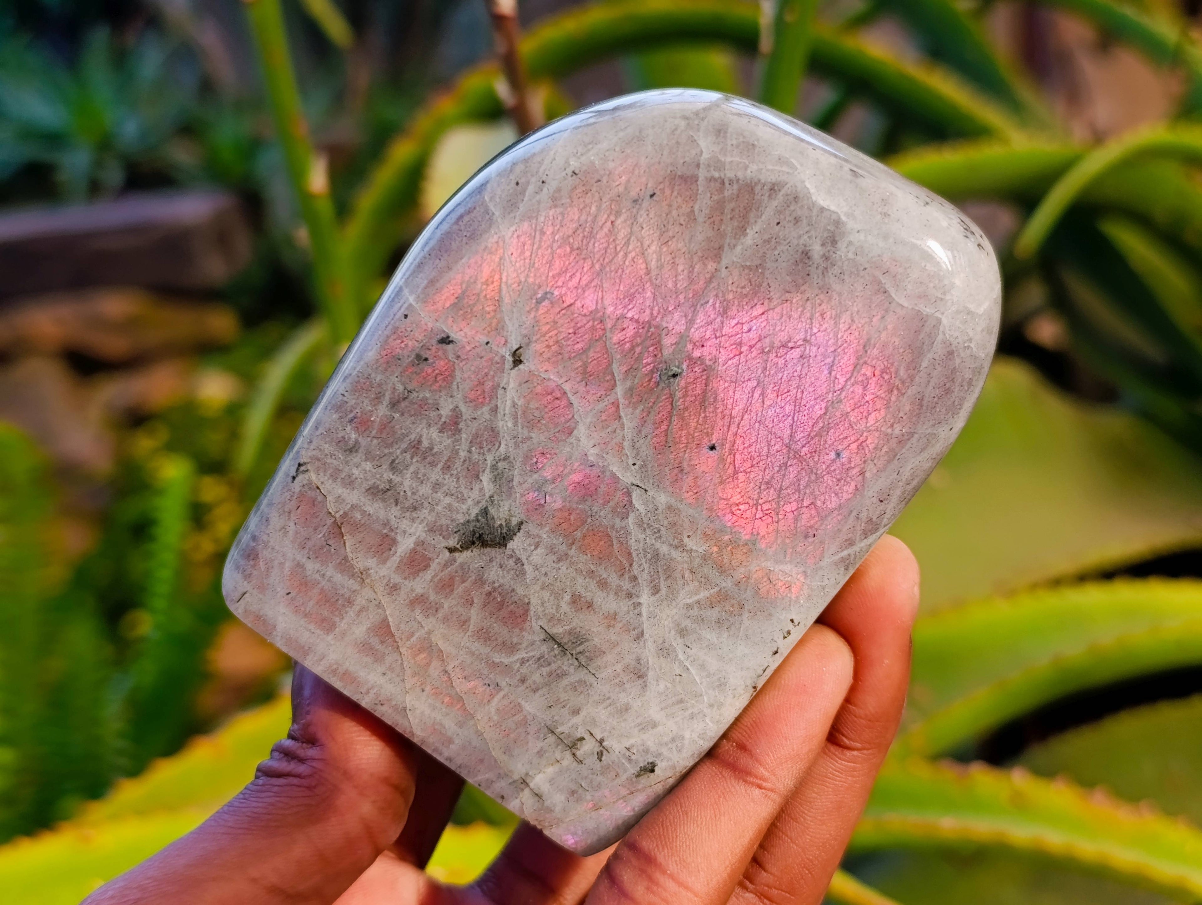 Polished Purple Labradorite Standing Free Forms x 4 From Tulear, Madagascar - Toprock Gemstones and Minerals 