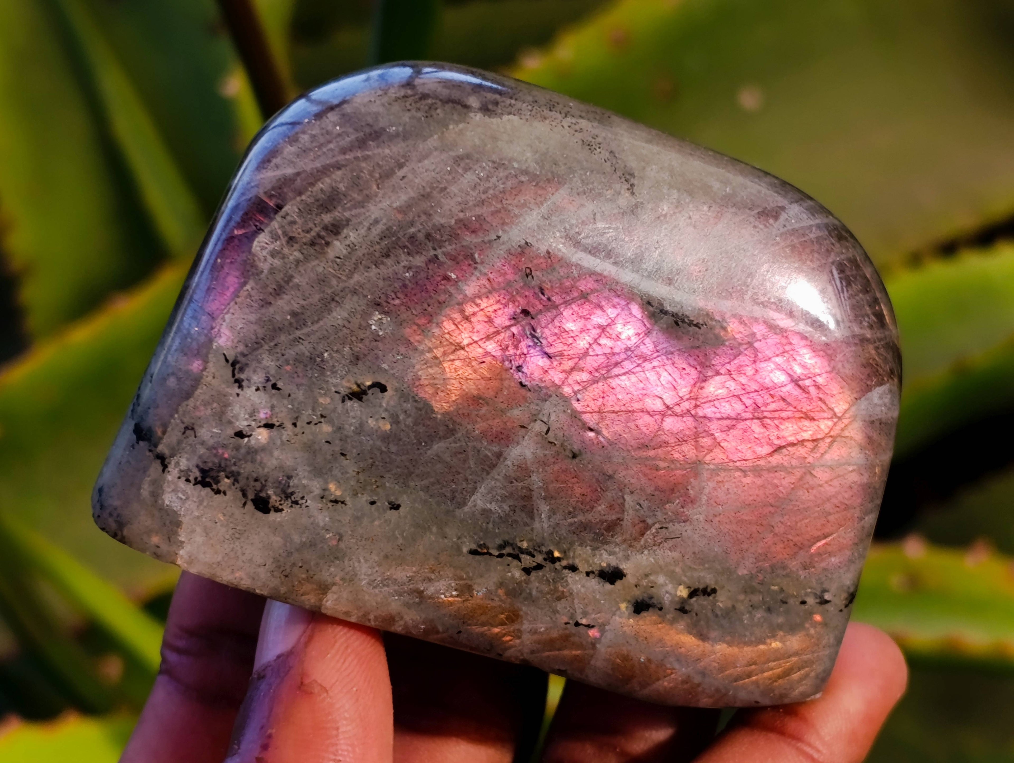 Polished Purple Labradorite Standing Free Forms x 4 From Tulear, Madagascar - Toprock Gemstones and Minerals 