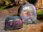 Polished Purple Labradorite Standing Free Forms x 4 From Tulear, Madagascar - Toprock Gemstones and Minerals 