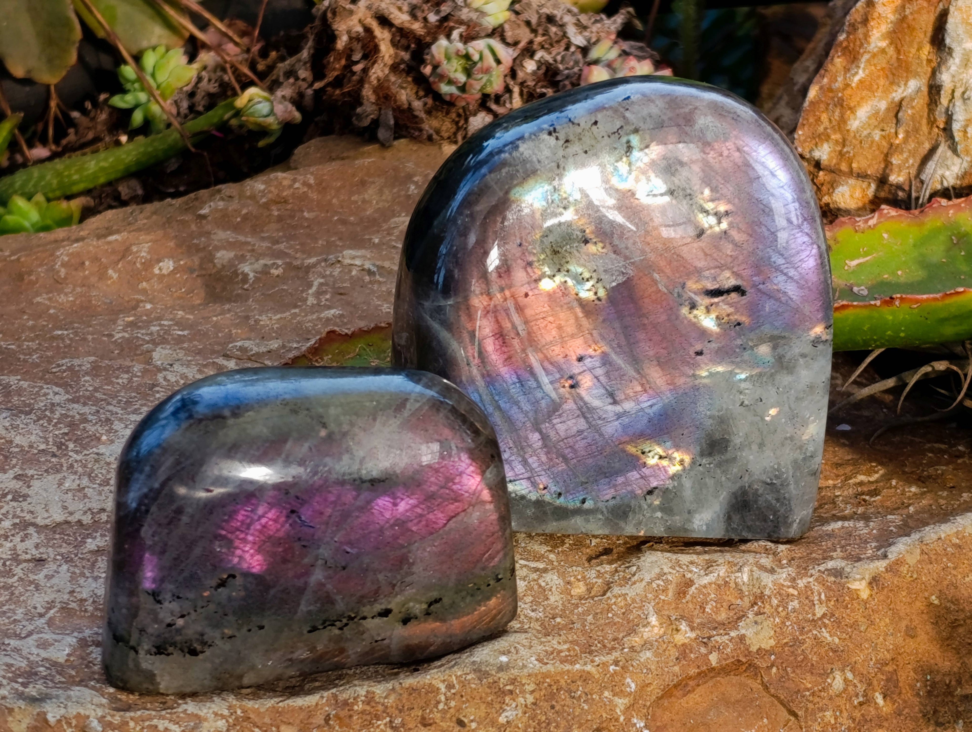 Polished Purple Labradorite Standing Free Forms x 4 From Tulear, Madagascar - Toprock Gemstones and Minerals 