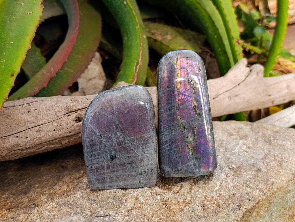Polished Purple Labradorite Standing Free Forms x 4 From Tulear, Madagascar - Toprock Gemstones and Minerals 