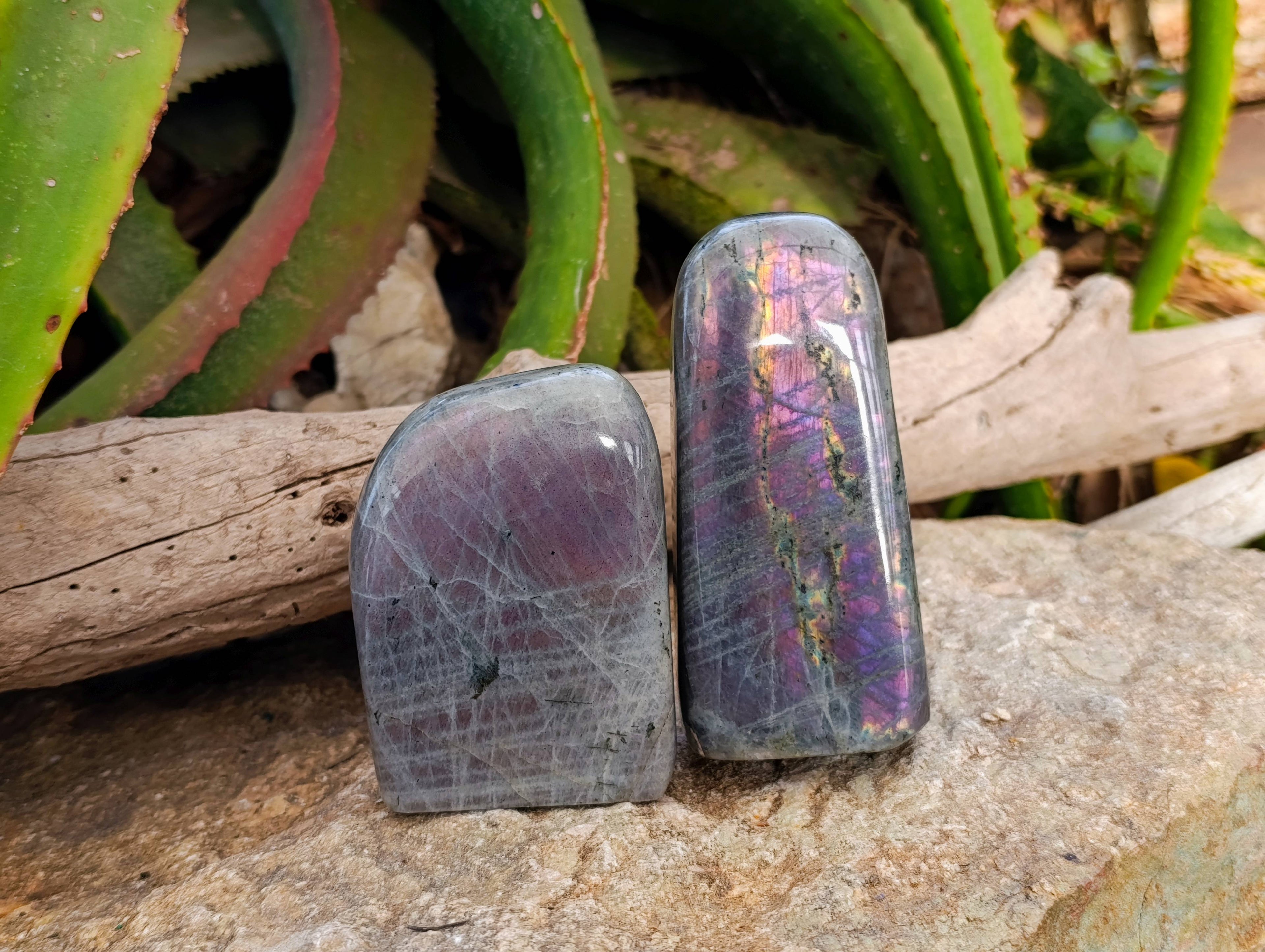 Polished Purple Labradorite Standing Free Forms x 4 From Tulear, Madagascar - Toprock Gemstones and Minerals 