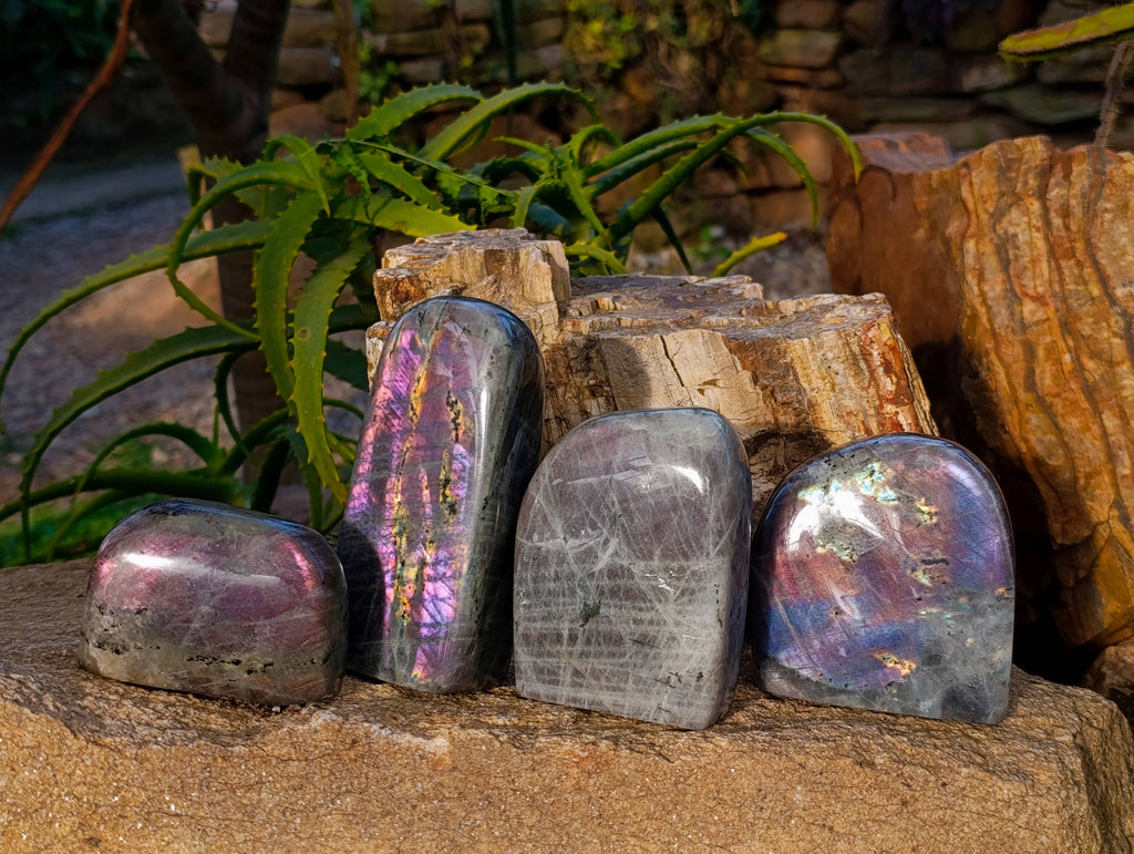 Polished Purple Labradorite Standing Free Forms x 4 From Tulear, Madagascar - Toprock Gemstones and Minerals 