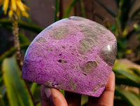 Polished Stichtite Standing Free Forms x 2 From Barberton, South Africa