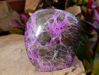 Polished Stichtite Standing Free Forms x 2 From Barberton, South Africa