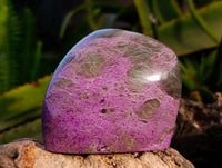 Polished Stichtite Standing Free Forms x 2 From Barberton, South Africa