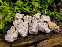 Natural Pyrope Garnet In Quartz Feldspar Matrix Specimens x 12 From Namibia