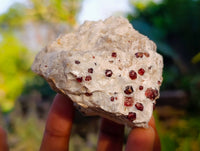 Natural Pyrope Garnet In Quartz Feldspar Matrix Specimens x 12 From Namibia