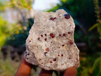 Natural Pyrope Garnet In Quartz Feldspar Matrix Specimens x 12 From Namibia