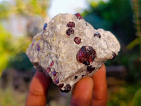 Natural Pyrope Garnet In Quartz Feldspar Matrix Specimens x 12 From Namibia