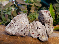 Natural Pyrope Garnet In Quartz Feldspar Matrix Specimens x 12 From Namibia