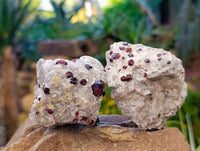 Natural Pyrope Garnet In Quartz Feldspar Matrix Specimens x 12 From Namibia