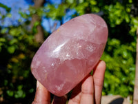 Polished Rose Quartz Standing Free Forms x 2 From Madagascar