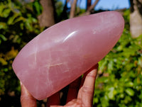Polished Rose Quartz Standing Free Forms x 2 From Madagascar