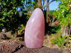 Polished Rose Quartz Standing Free Forms x 2 From Madagascar - Toprock Gemstones and Minerals 