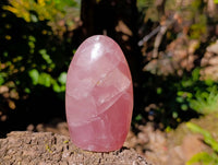 Polished Rose Quartz Standing Free Forms x 2 From Madagascar