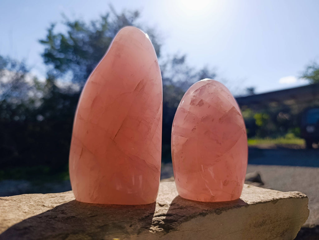Polished Rose Quartz Standing Free Forms x 2 From Madagascar - Toprock Gemstones and Minerals 