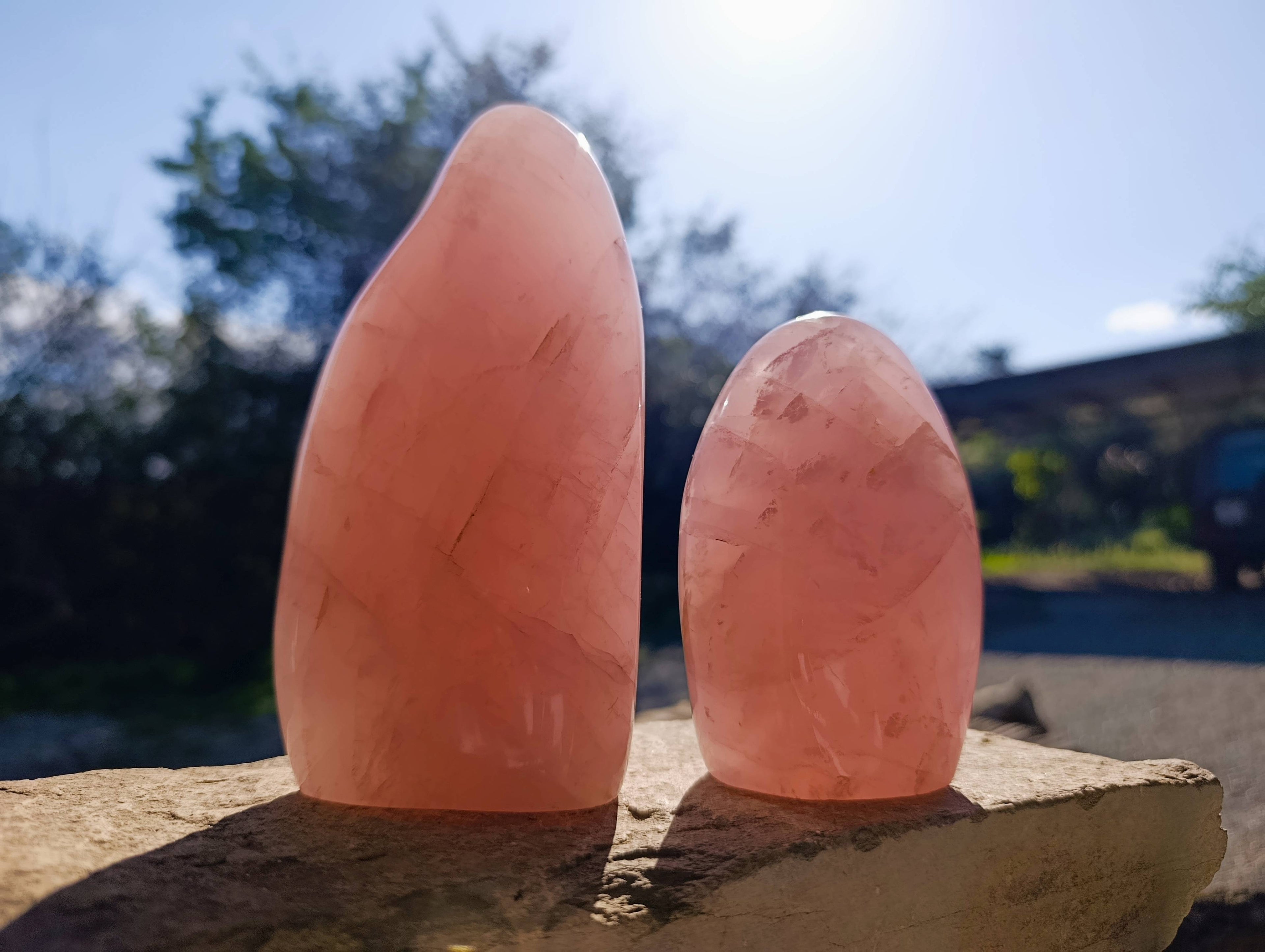 Polished Rose Quartz Standing Free Forms x 2 From Madagascar - Toprock Gemstones and Minerals 
