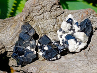 Natural Schorl Black Tourmaline Specimens x 74 From Erongo, Namibia