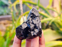 Natural Schorl Black Tourmaline Specimens x 12 From Erongo, Namibia