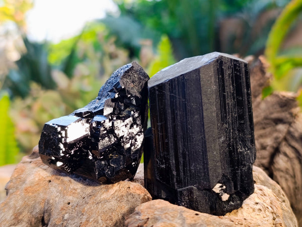 Natural Schorl Black Tourmaline Specimens x 12 From Erongo, Namibia