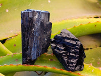 Natural Schorl Black Tourmaline Specimens x 12 From Erongo, Namibia