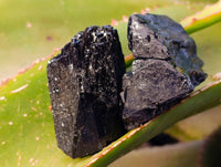 Natural Schorl Black Tourmaline Specimens x 12 From Erongo, Namibia