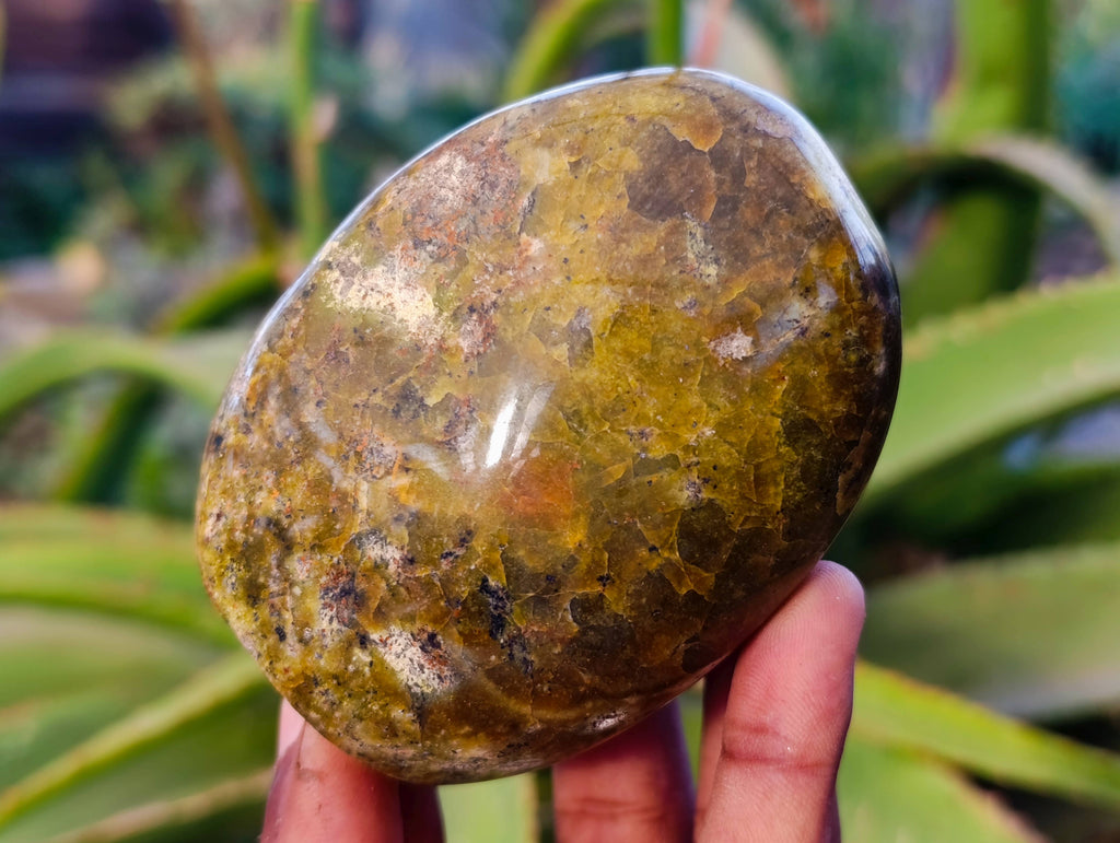 Polished Green Opal Standing Free Forms x 4 From Madagascar - Toprock Gemstones and Minerals 