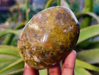 Polished Green Opal Standing Free Forms x 4 From Madagascar