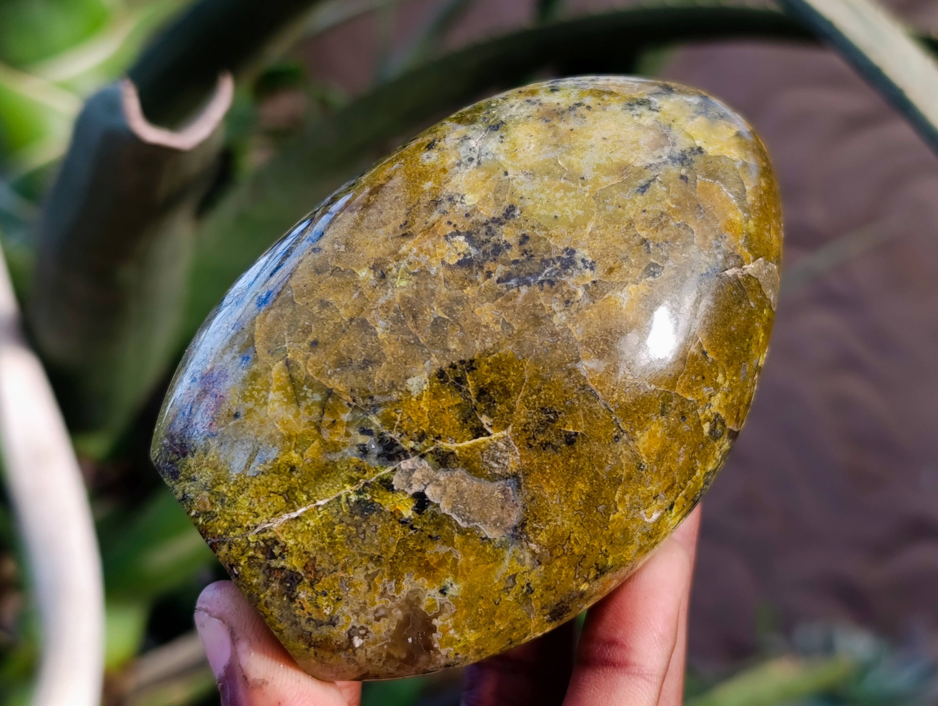 Polished Green Opal Standing Free Forms x 4 From Madagascar - Toprock Gemstones and Minerals 