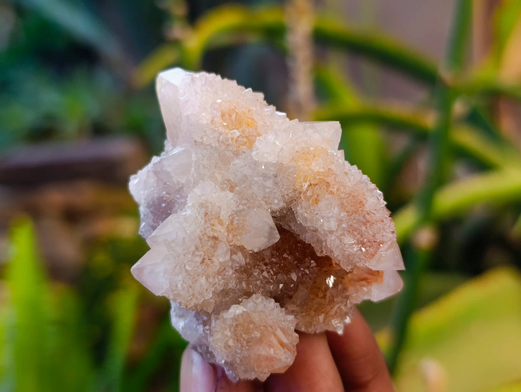 Natural Spirit Quartz Specimens x 12 From Boekenhouthoek, South Africa - Toprock Gemstones and Minerals 