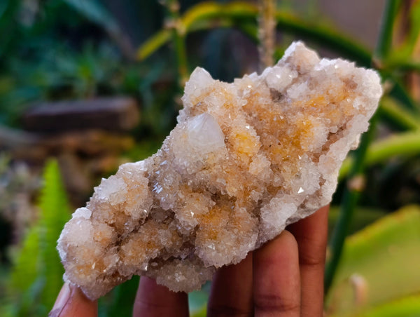 Natural Spirit Quartz Specimens x 12 From Boekenhouthoek, South Africa