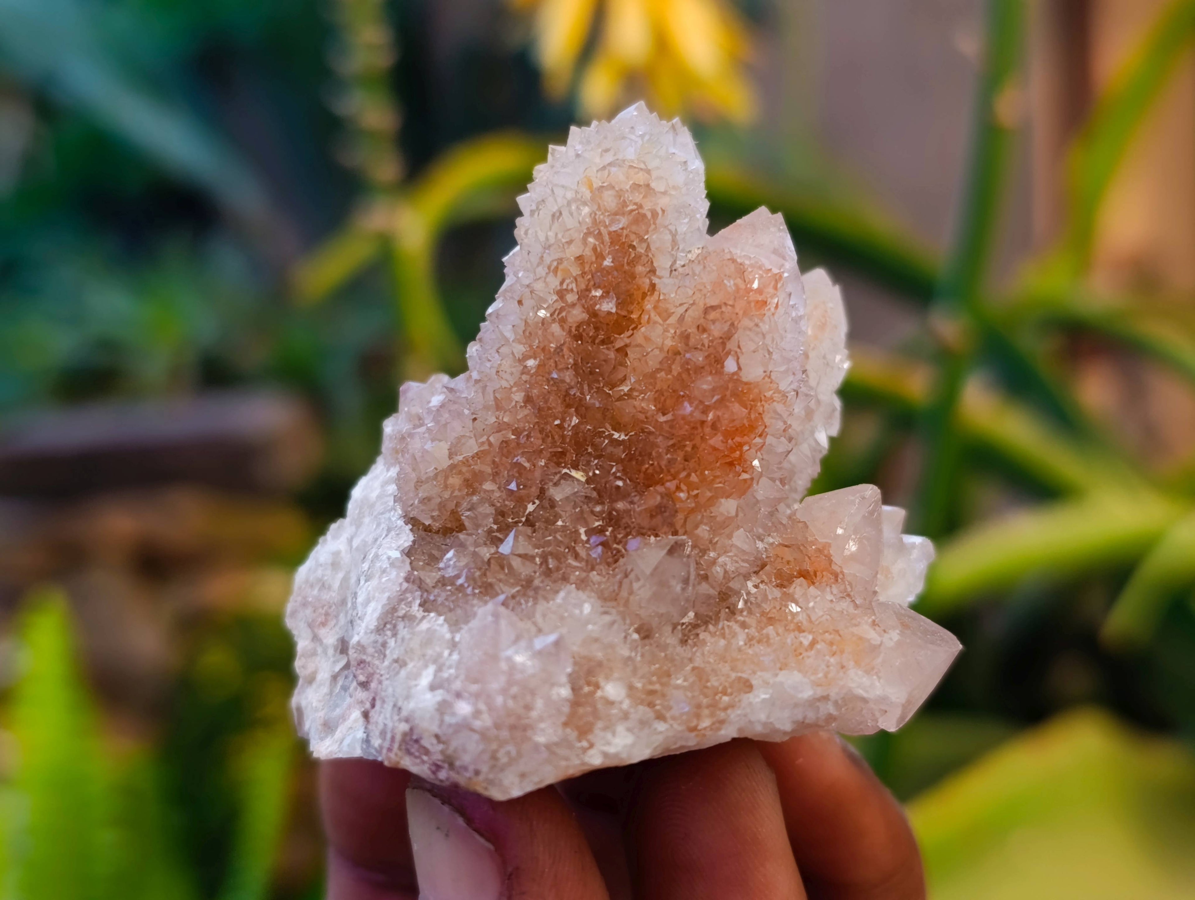 Natural Spirit Quartz Specimens x 12 From Boekenhouthoek, South Africa - Toprock Gemstones and Minerals 