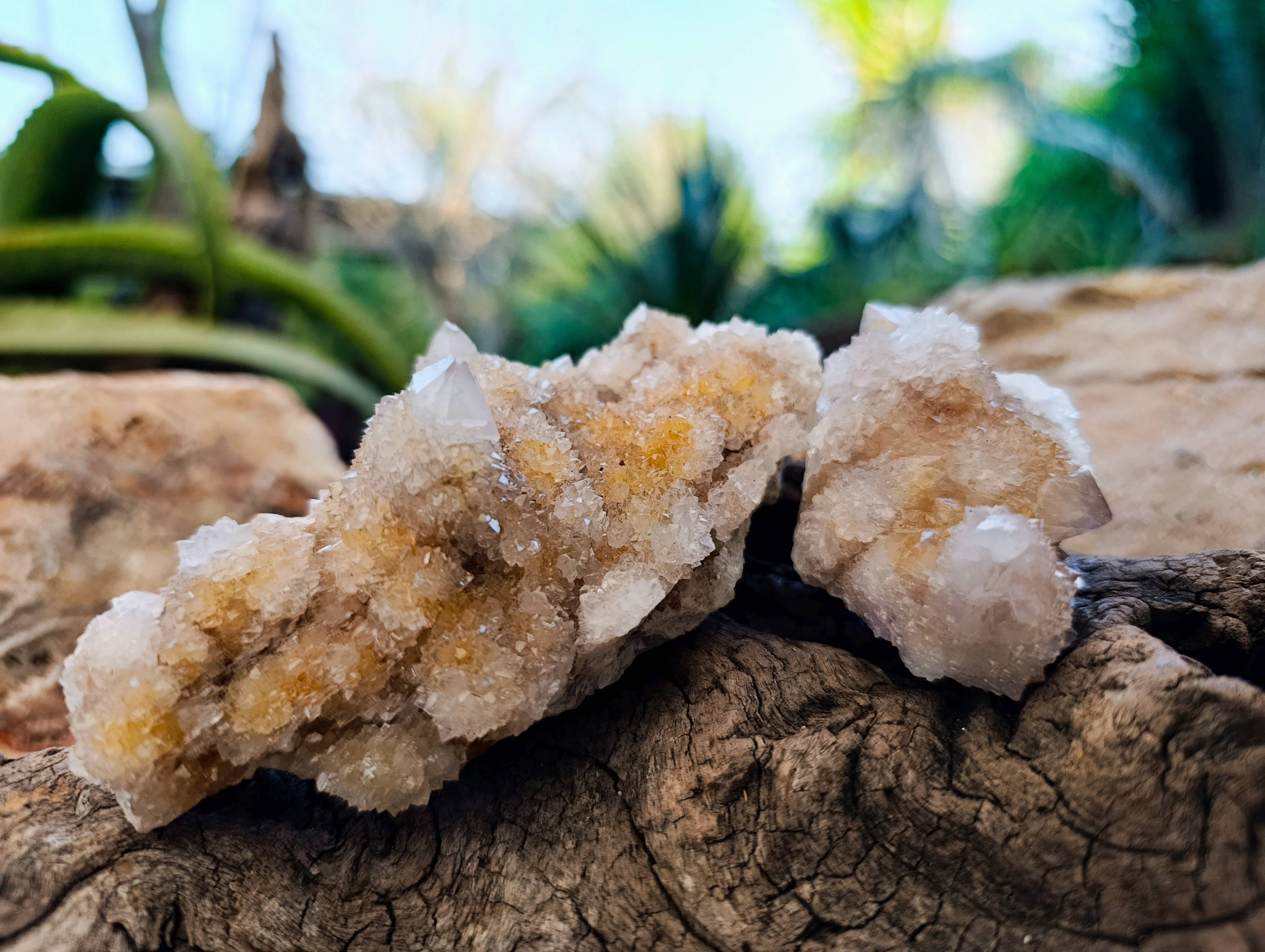 Natural Spirit Quartz Specimens x 12 From Boekenhouthoek, South Africa - Toprock Gemstones and Minerals 