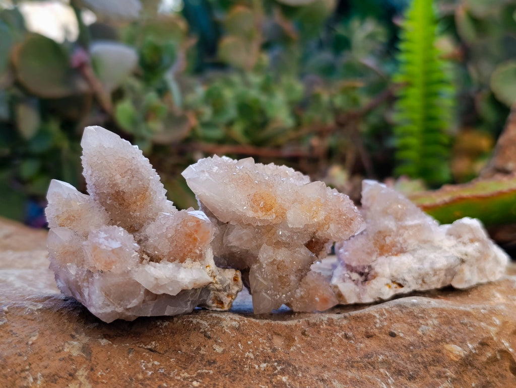 Natural Spirit Quartz Specimens x 12 From Boekenhouthoek, South Africa - Toprock Gemstones and Minerals 
