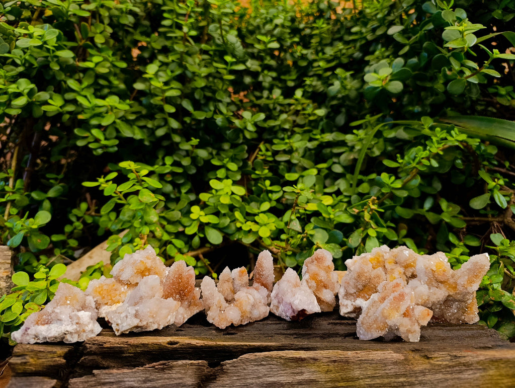 Natural Spirit Quartz Specimens x 12 From Boekenhouthoek, South Africa - Toprock Gemstones and Minerals 