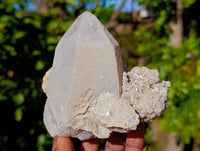 Natural Smokey Quartz Crystal Specimens x 3 From Erongo, Namibia
