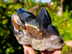 Natural Smokey Quartz Crystal Specimens x 3 From Erongo, Namibia - Toprock Gemstones and Minerals 