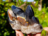 Natural Smokey Quartz Crystal Specimens x 3 From Erongo, Namibia