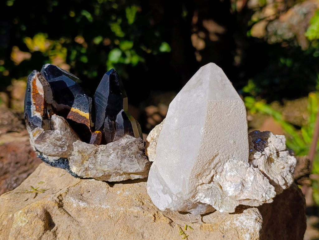 Natural Smokey Quartz Crystal Specimens x 3 From Erongo, Namibia - Toprock Gemstones and Minerals 