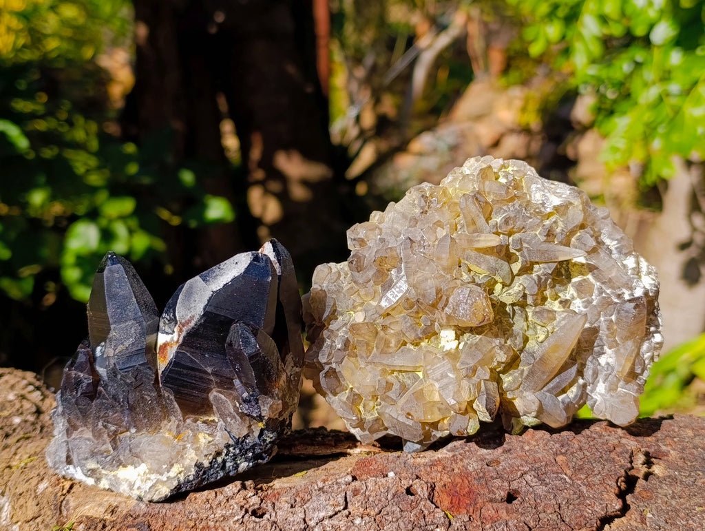 Natural Smokey Quartz Crystal Specimens x 3 From Erongo, Namibia - Toprock Gemstones and Minerals 