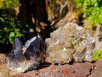 Natural Smokey Quartz Crystal Specimens x 3 From Erongo, Namibia