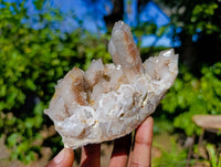 Natural Spirit Quartz Specimens x 4 From Boekenhouthoek, South Africa