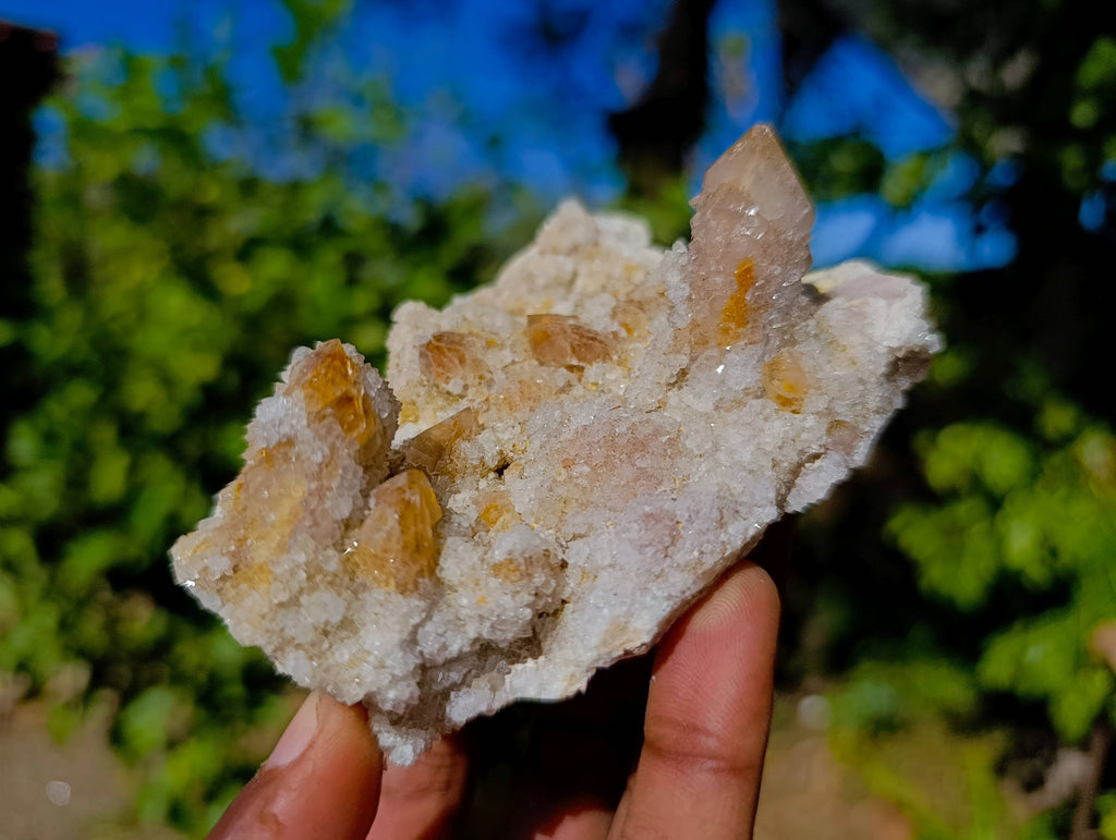 Natural Spirit Quartz Specimens x 4 From Boekenhouthoek, South Africa - Toprock Gemstones and Minerals 