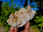 Natural Spirit Quartz Specimens x 4 From Boekenhouthoek, South Africa - Toprock Gemstones and Minerals 