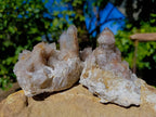 Natural Spirit Quartz Specimens x 4 From Boekenhouthoek, South Africa - Toprock Gemstones and Minerals 