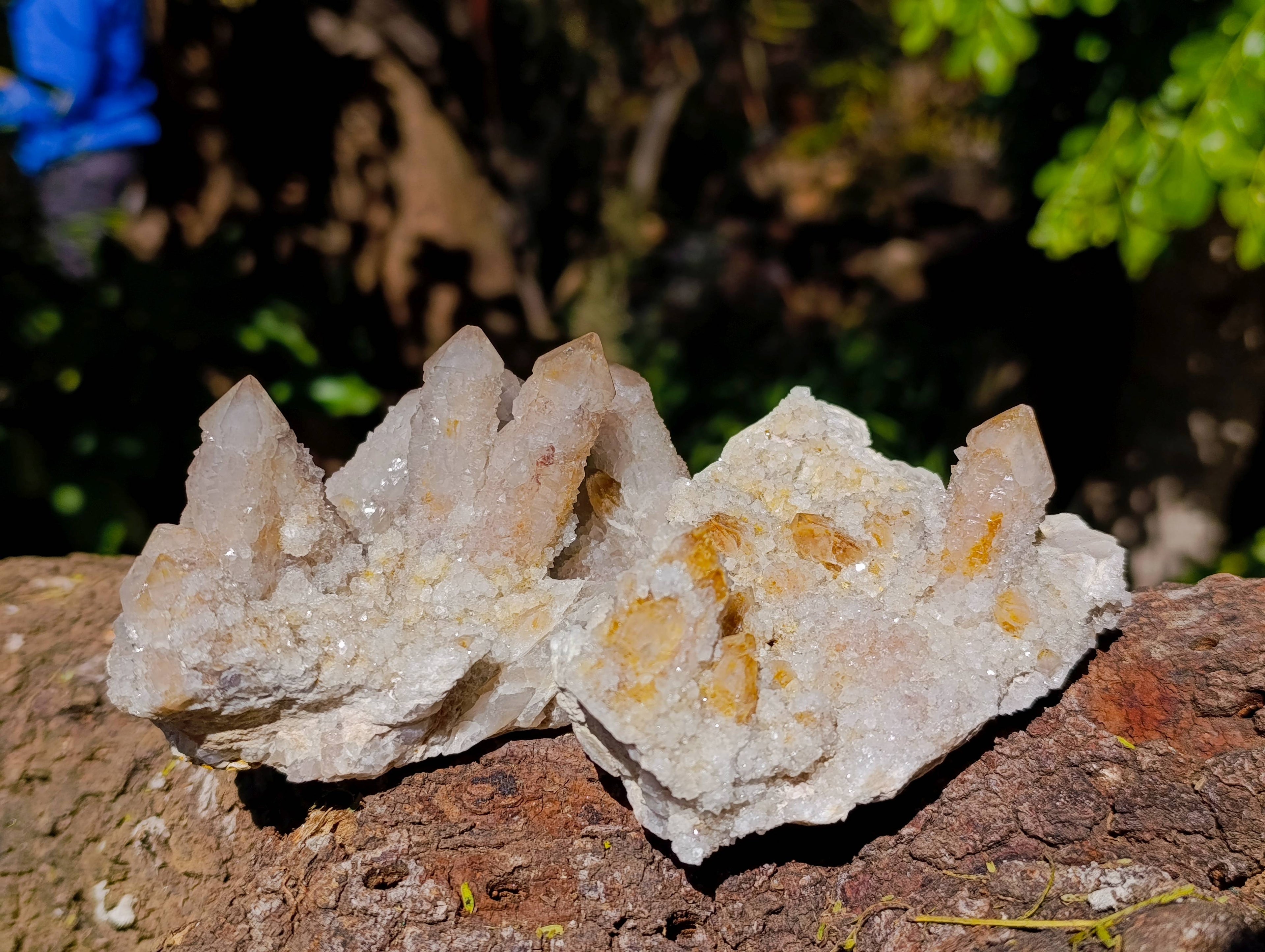 Natural Spirit Quartz Specimens x 4 From Boekenhouthoek, South Africa - Toprock Gemstones and Minerals 