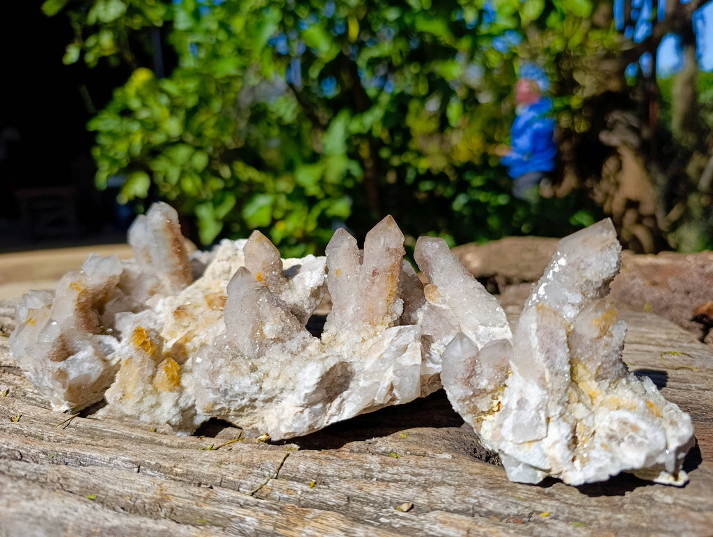 Natural Spirit Quartz Specimens x 4 From Boekenhouthoek, South Africa - Toprock Gemstones and Minerals 