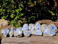 Natural Blue Lace Agate Geode Specimens x 12 From Nsanje, Malawi